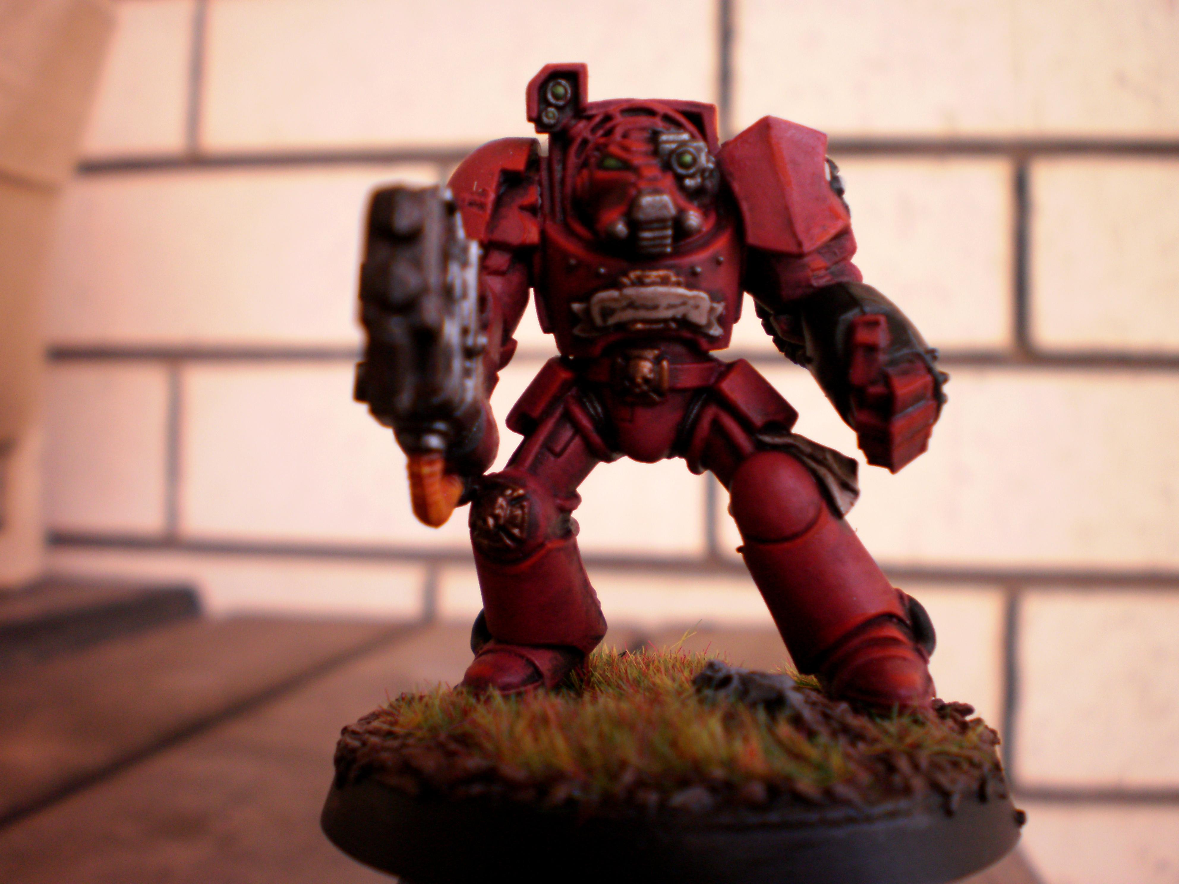 Blood Angels, Terminator Armor - Blood Angel Terminator - Gallery ...